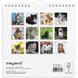 V�gkalender Mini Kattekillinger 2027