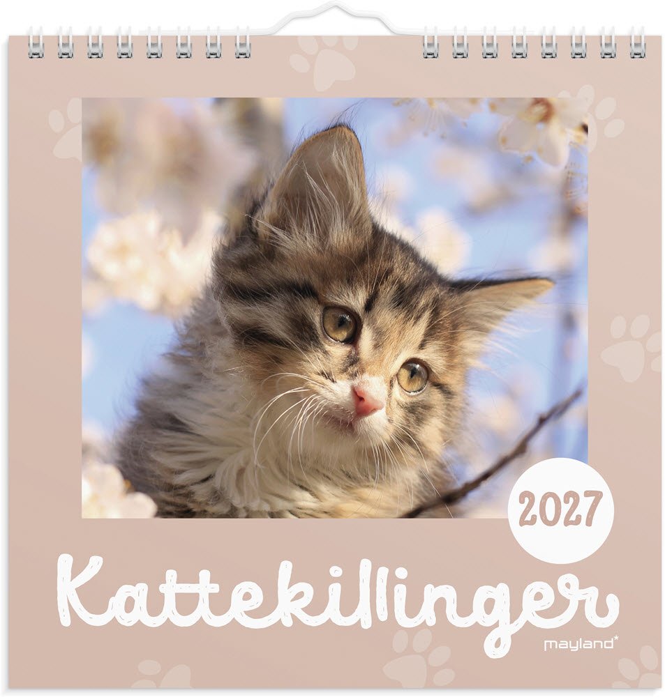 V�gkalender Mini Kattekillinger 2027