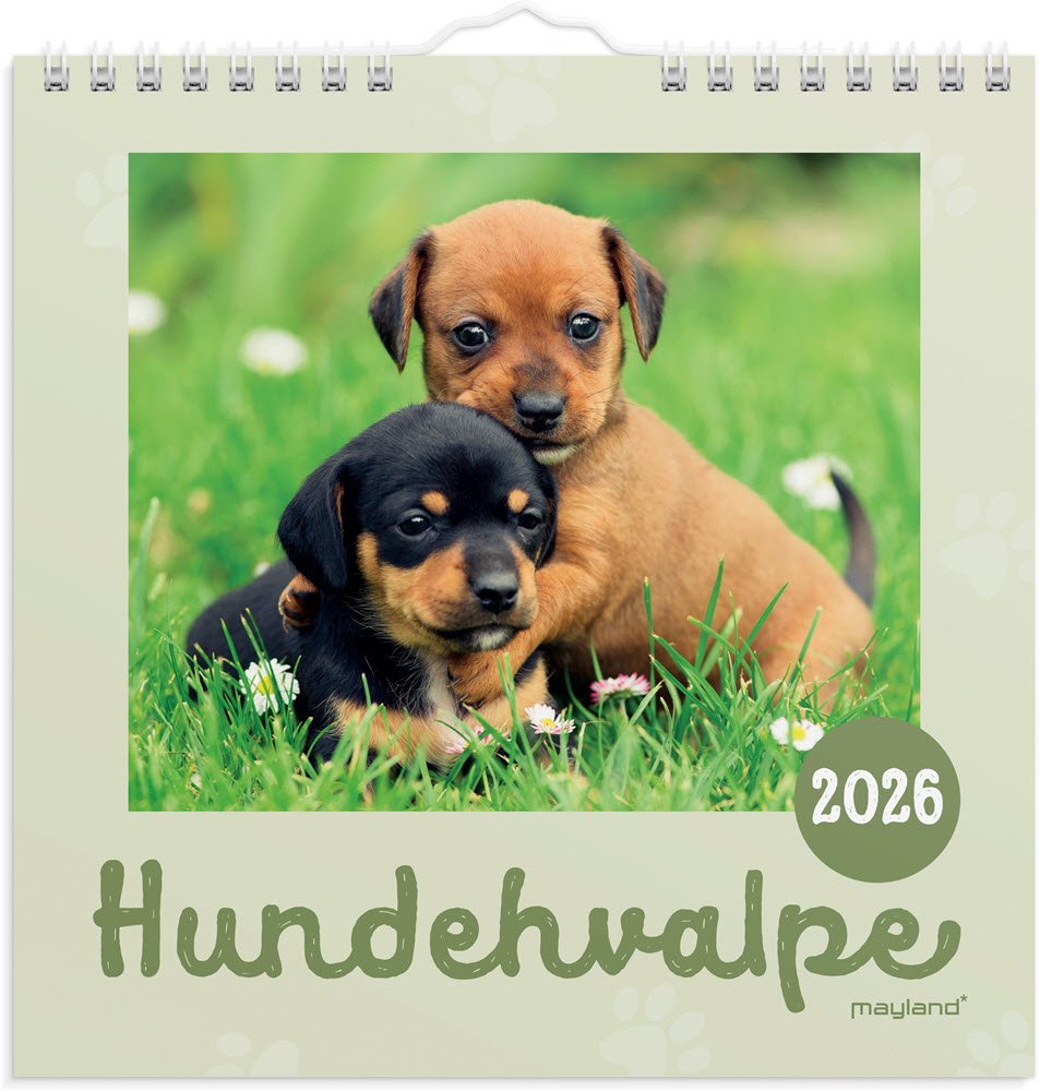 Vgkalender mini Hundehvalpe 2026