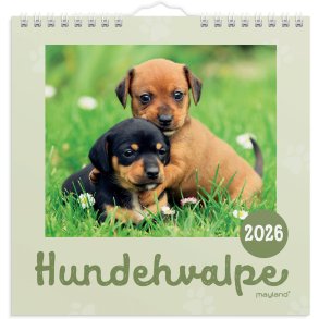 Vgkalender mini Hundehvalpe 2026