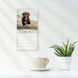 Vgkalender mini Hundehvalpe 2026
