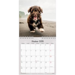 Vgkalender mini Hundehvalpe 2026