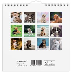 Vgkalender mini Hundehvalpe 2026