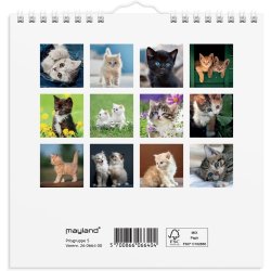 Vgkalender mini Kattekillinger 2026