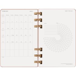 Moleskine 2026 Large Hard Spiral Planner Almond