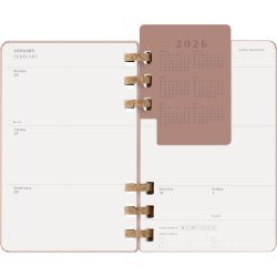 Moleskine 2026 Large Hard Spiral Planner Almond