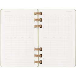 Moleskine 25/26 Large hard Planner spiral academic Kiwi Grren