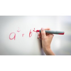 WB Marker Visor brun