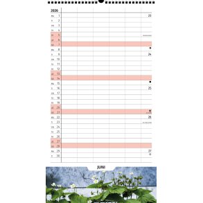 Plakatforlaget familie kalender ret rundt foto 2026 