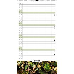 Skoleret rundt 25/26 Foto 5 kolonner