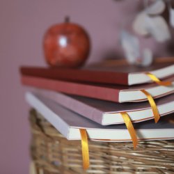 Rhodia Dot A5 Softcover 160 s. 90 g Burgundy