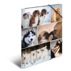 A4 elastikmappe pap, "HUND"