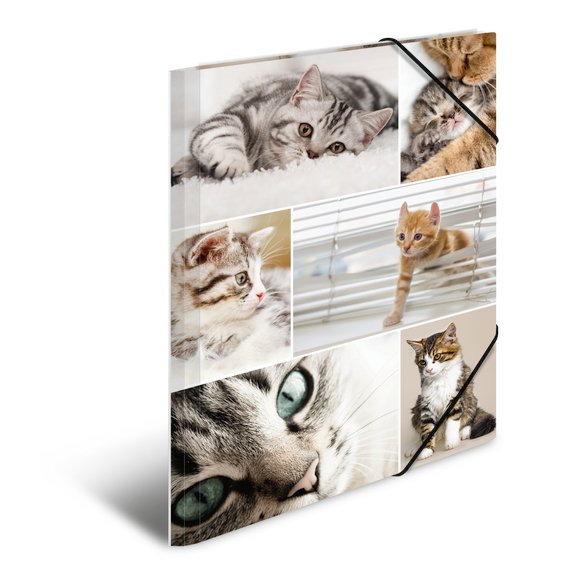 A4 elastikmappe pap, "KAT"