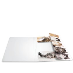 A4 elastikmappe pap, "KAT"