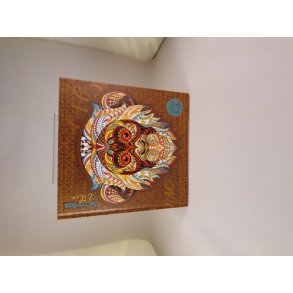 Skitebog Hardcover Dyr 20 X 20 Cm Ass Motiv