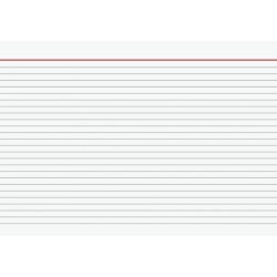 Noteringskort A4 Linieret