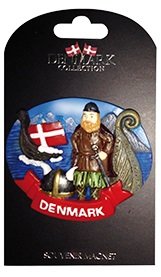 Viking magnet