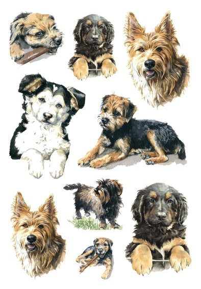 HERMA Decor stickers med hunde 3ark