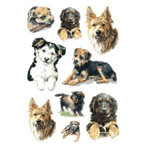 HERMA Decor stickers med hunde 3ark