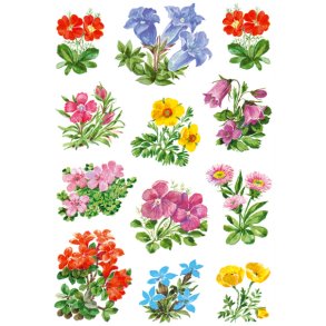 Herma Stickers Decor Forrs Blomster