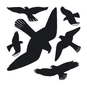 Herma etiket Advarselsfugl sort 1 ark