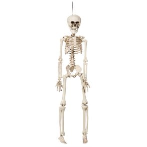 Halloween Hngende skelett 42 cm