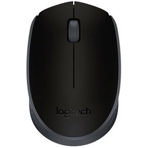 Logitech M171 Wireless Mouse Black