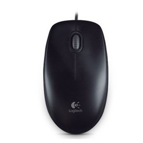 OEM - B100 Optical Mouse for Business black