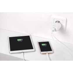 PNY Dual Wall Charger, White
