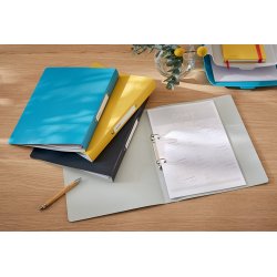 Ringbind Cosy PP 2RR 25mm gr