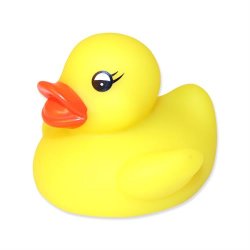 Badedyr, and, fr, fisk, delfin, blksprutte