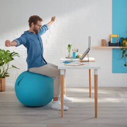 Balancebold Ergo Cosy bl