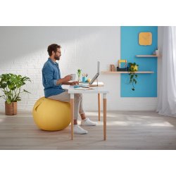 Balancebold Ergo Cosy gul
