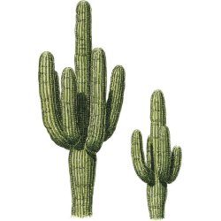 Farveblyant Tombow Irojiten cactus green