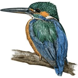 Farveblyant Tombow Irojiten crimson