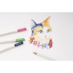 Farveblyant Tombow Irojiten ecru