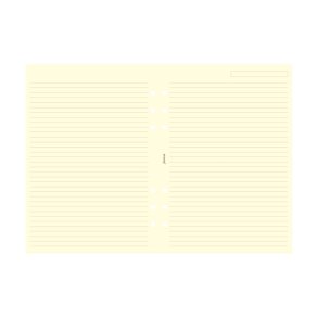 Filofax A5 lin papir  25 ark