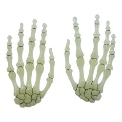 Hnder 6stk Selvlysende