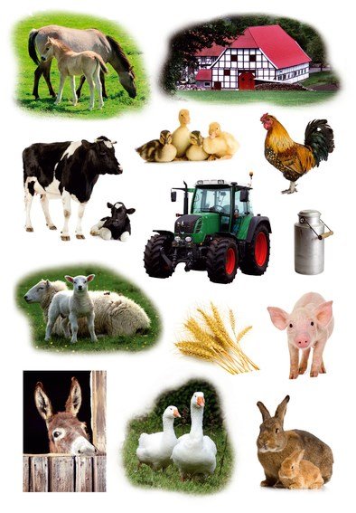 Herma stickers Decor bondegrdsdyr (3)
