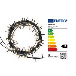 Hombli Smart Christmas Lights