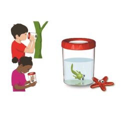 Insektglas Mega Ass farver