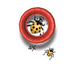 Insektglas Mega Ass farver