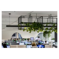 Kuando Busylight UC Omega (Ringer &amp; Notification)