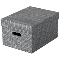 Opbevaringsboks Esselte Home M gr (3)