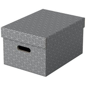 Opbevaringsboks Esselte Home M gr (3)