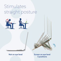 R-Go Riser Flexible Laptop Stand adjustable Silver