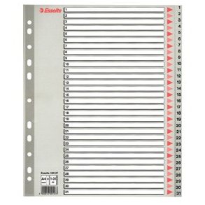 Register PP A4 maxi 1-31 gr