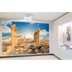 RICOH ShortThrow Projector PJ WUL5A40ST 55-150''