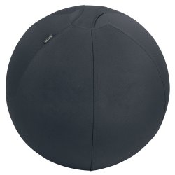 Sitting Ball Ergo 55cm.Anti-Roll-Away, Dark Grey