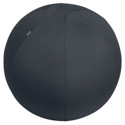 Sitting Ball Ergo 65cm.Anti-Roll-Away, Dark Grey